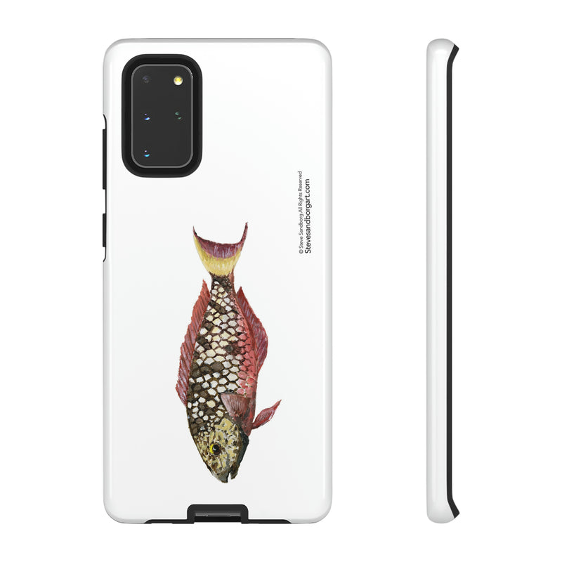 Stoplight Parrotfish, Initial Phase Phone Case (iPhone and Samsung)