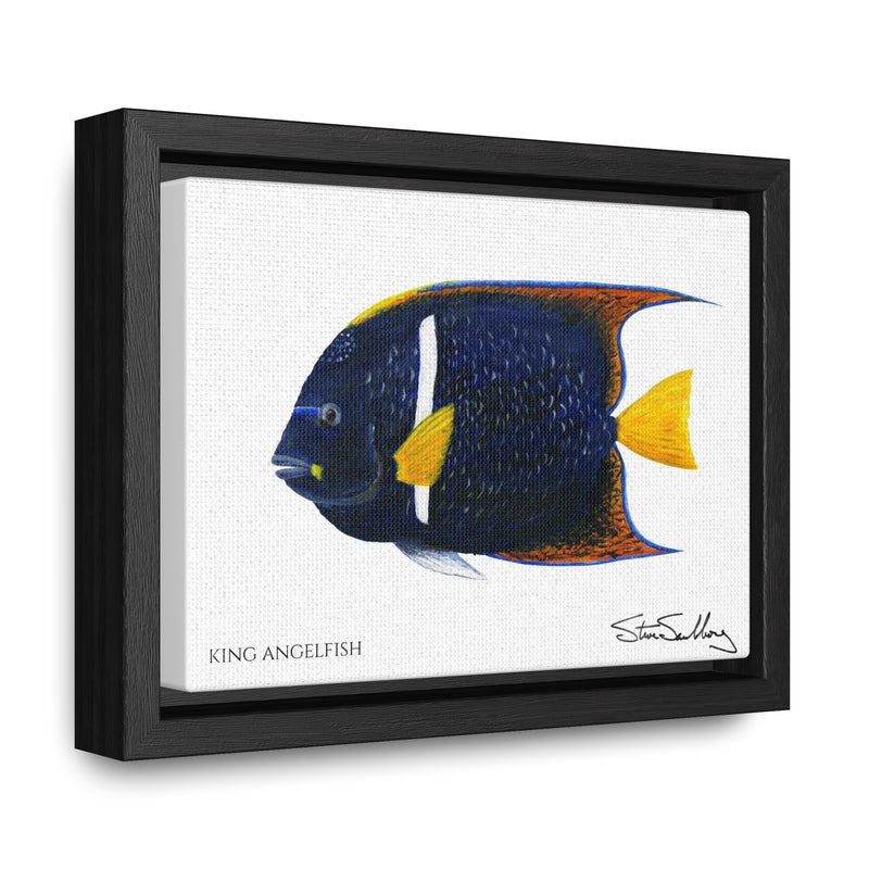 King Angelfish, Gallery Canvas Wraps