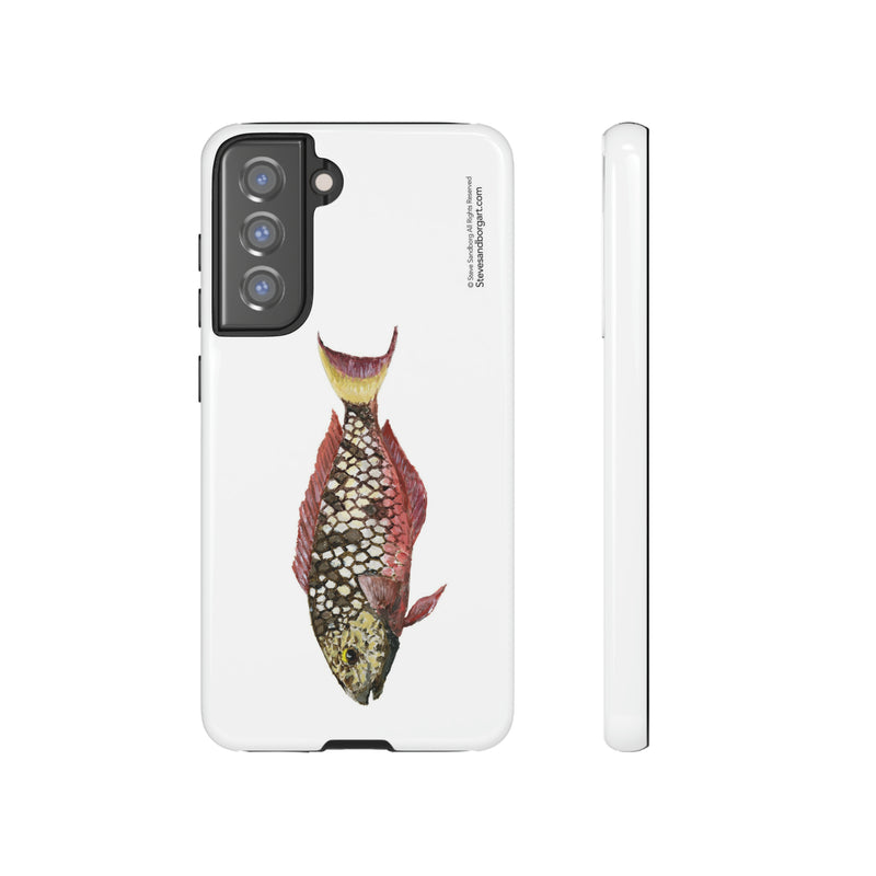 Stoplight Parrotfish, Initial Phase Phone Case (iPhone and Samsung)