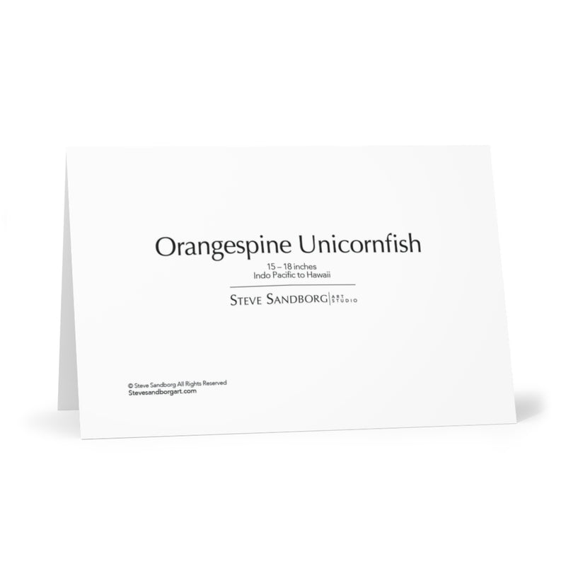 Orangespine Unicornfish Note Cards (7 pcs)