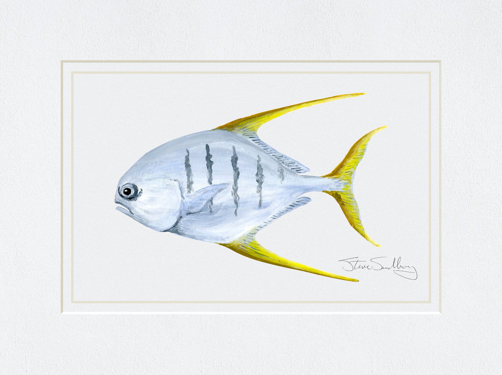 Image of print of the Gafftopsail Pompano fish based on original art by Steve Sandborg Art