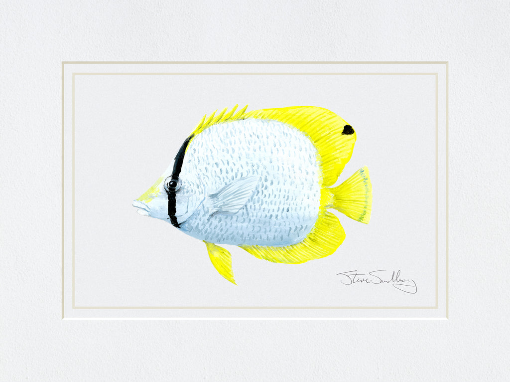 Image of the Spotfin Butterflyfish based on original art by Steve Sandborg Art