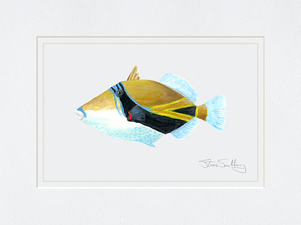 Image of the Humuhumu Nukunuku A Pua' A or Picasso Triggerfish based on original art by Steve Sandborg Art