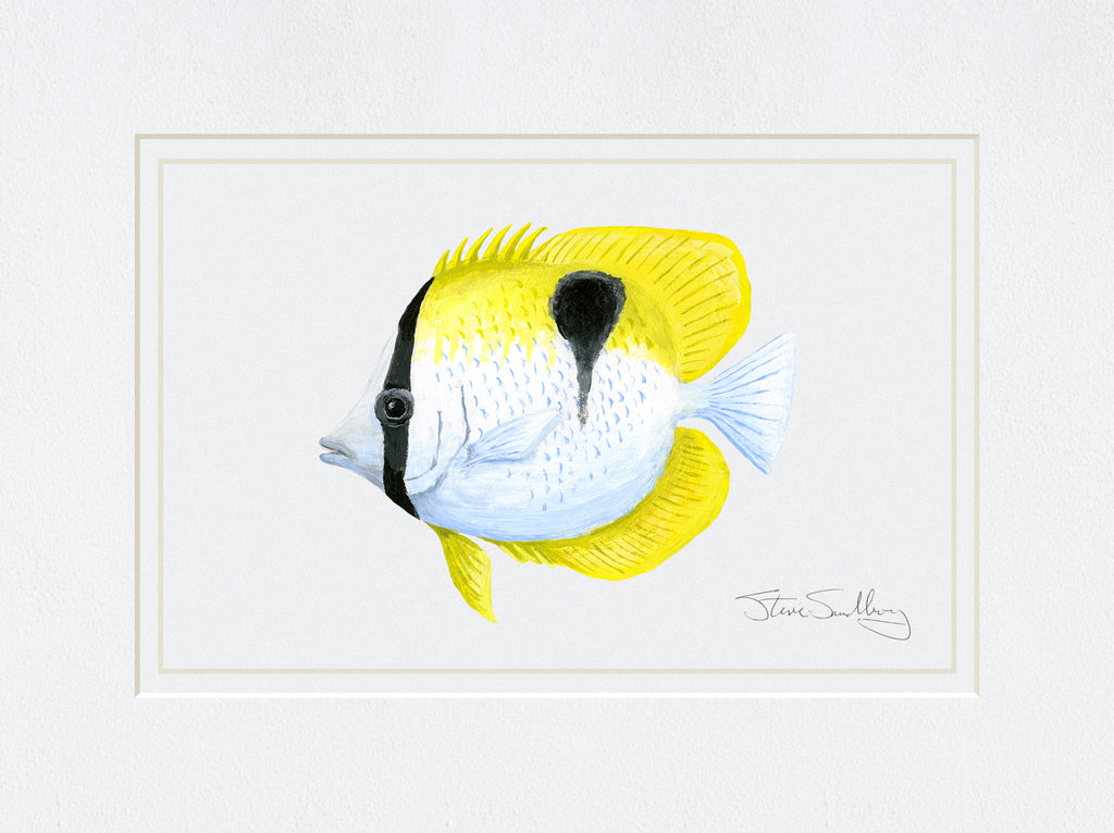 Image of a Teardrop Butterfly fish from Steve Sandborg Art.