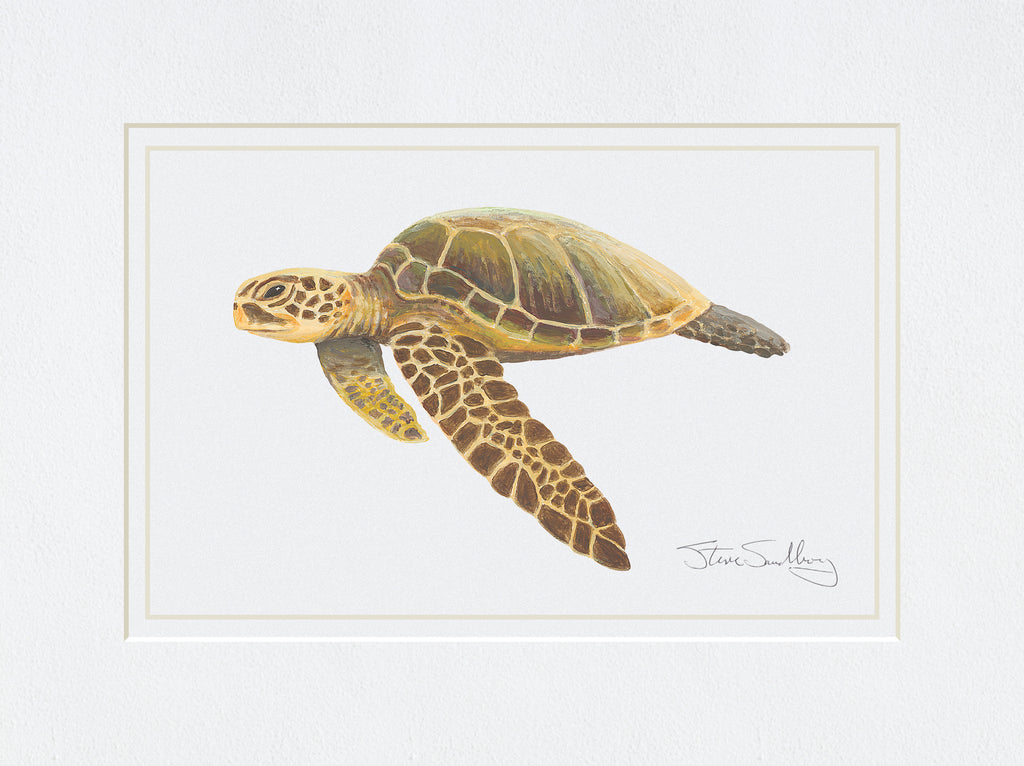 Image of print of the Green Sea Turtle based on original art by Steve Sandborg Art