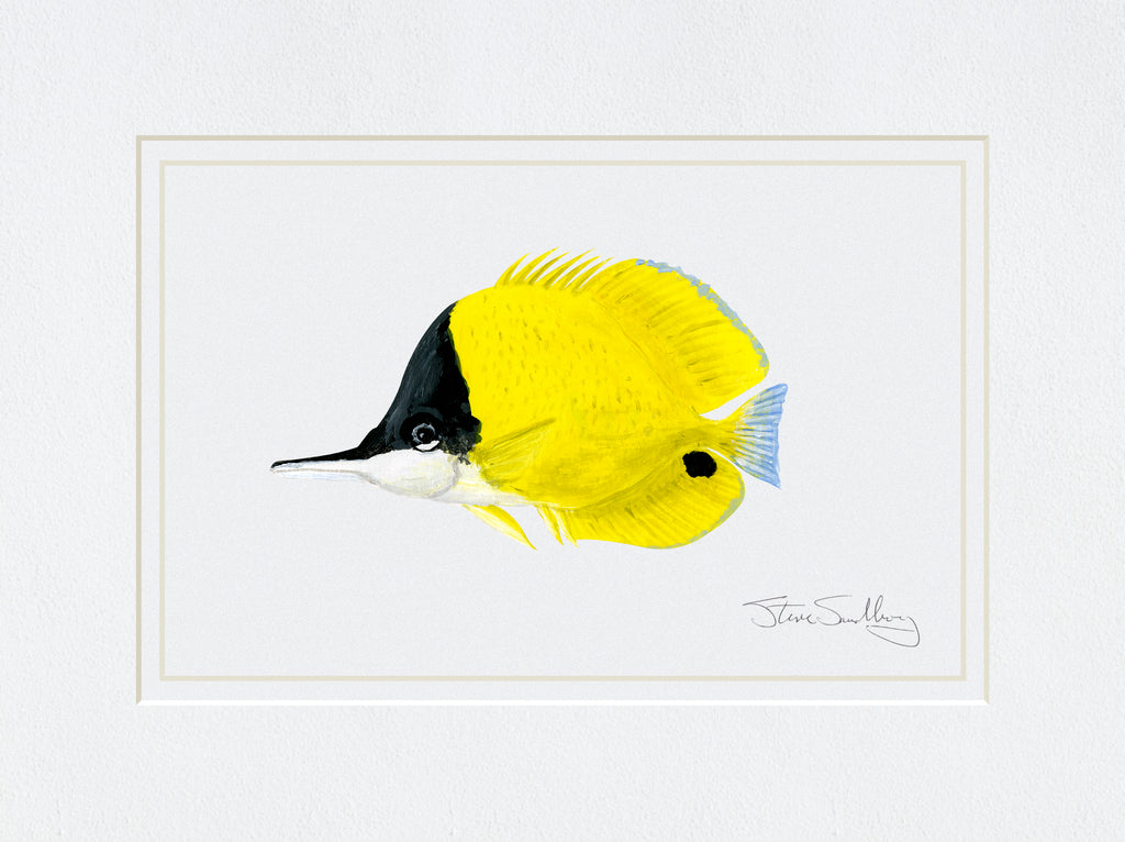 Image of print based on original art of a Foreceps fish by Steve Sandborg Art. 