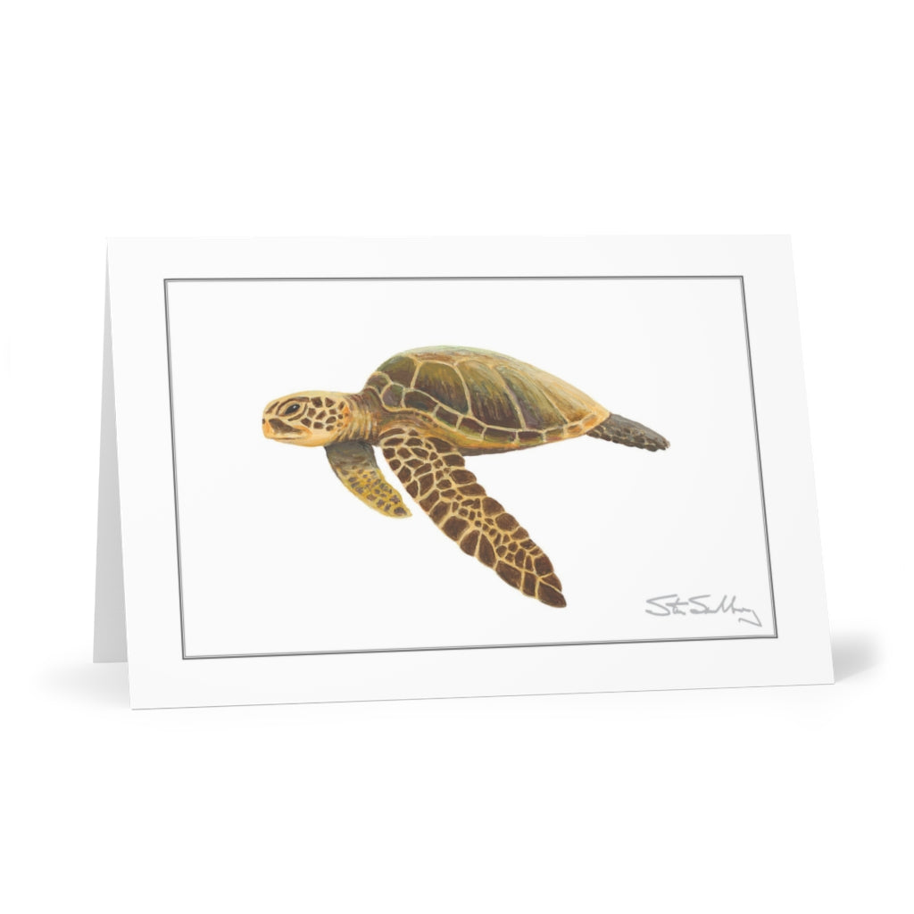 Green Sea Turtle note cards based on original art by Steve Sandborg Art - front