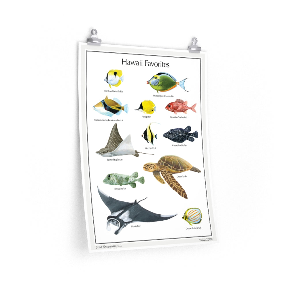Image of a poster featuring a selection of the beautiful sea life of Hawaii based on original art by Steve Sandborg Art. 