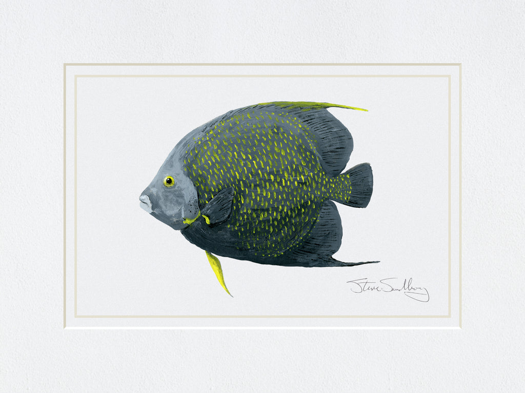 Image of print based on original art of a French Angelfish fish by Steve Sandborg Art. 