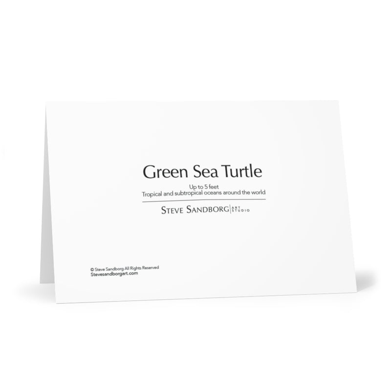 Green Sea Turtle note cards based on original art by Steve Sandborg Art - back of card