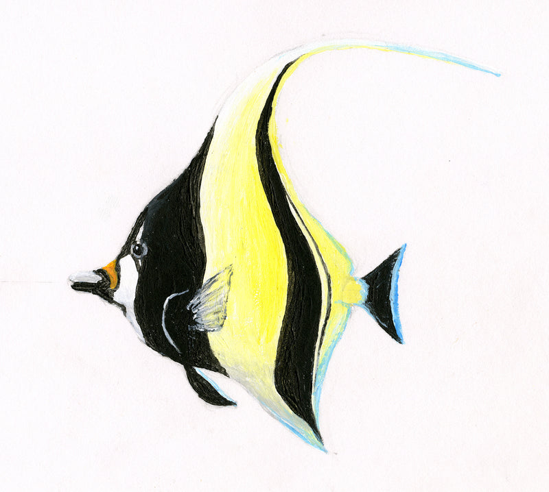 Image of the Moorish Idol fish based on original art by Steve Sandborg Art