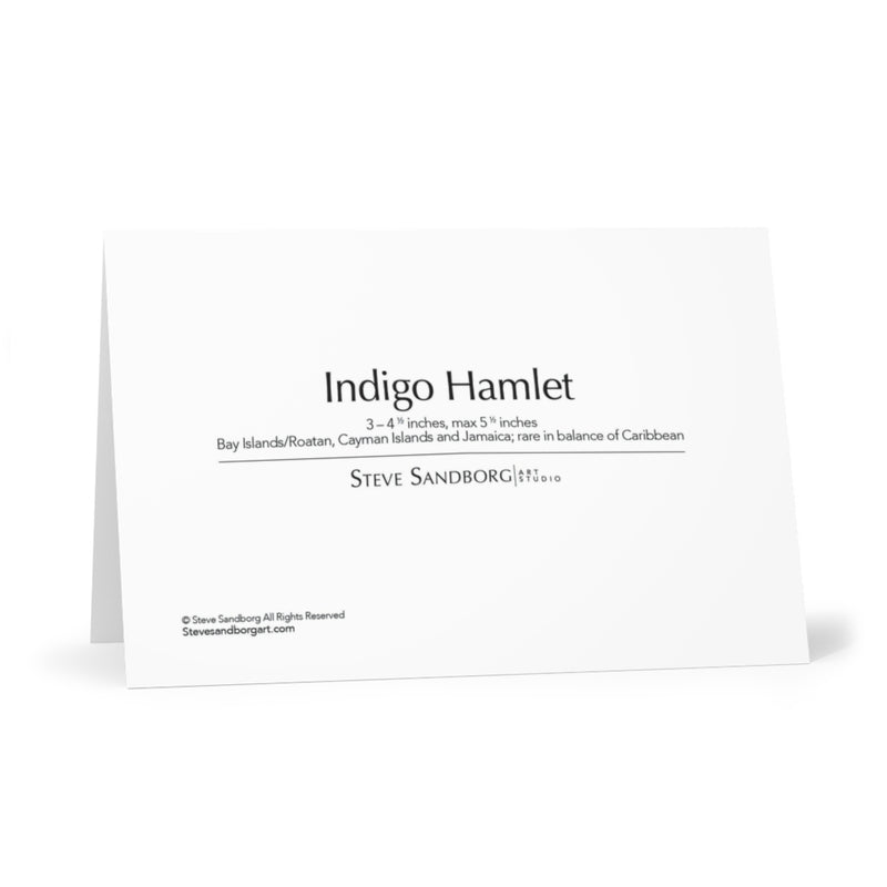 Note Cards featuring the Indigo Hamlet fish based on original art by Steve Sandborg Art - back